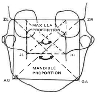Manual Illustration